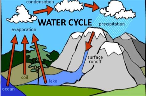 Summarize The Steps Of The Water Cycle Volintelligent