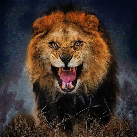 Photos Lions Big Cats Angry Animals 3200x3200