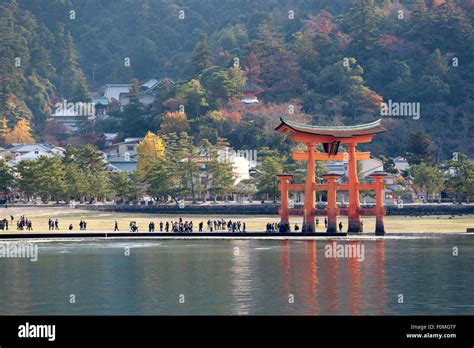 The Floating Miyajima Torii Gate Of Itsukushima Shrine Miyajima Island