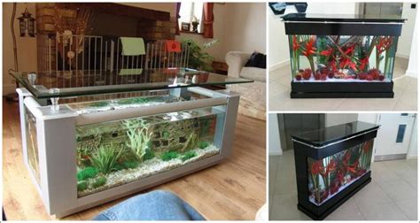 Choose the best plants for your tank. Unusual And Creative Diy Aquarium - Just Craft & DIY Projects