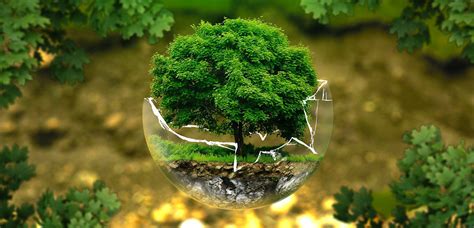 Este fue el mensaje principal en la celebración virtual del día mundial del medio ambiente 2020, organizada hoy por la fao. Día Mundial del Medio Ambiente ¡Cuidemos lo que tenemos ...