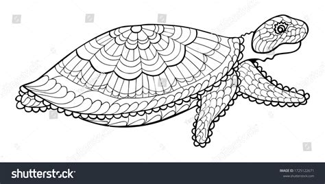 Patterned Sea Turtle Zentangle Style Isolated Stock Vector Royalty