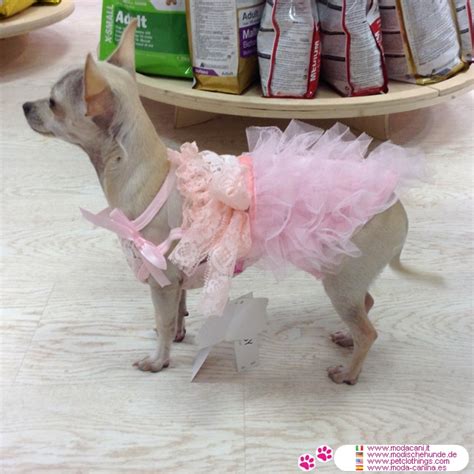We did not find results for: Robe Rose de Mariage pour Petits Chiens et Chihuahua
