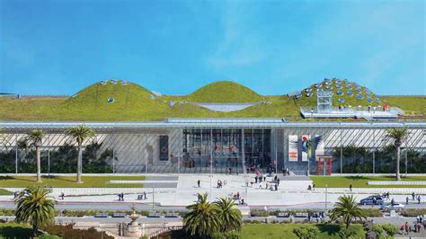 California Academy Of Sciences Reopens Oct 23