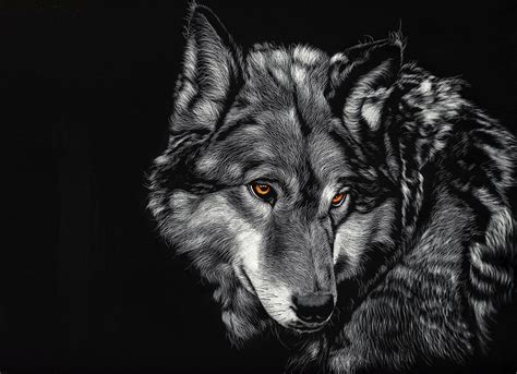 Stream 4k video in every room: 4K Wallpapers Of Wolf #4K #Wallpapers #Of #Wolf | Wolf ...