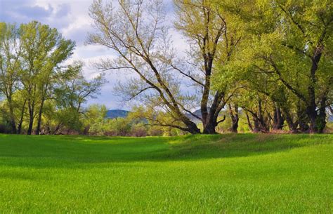 Free Images Landscape Tree Nature Forest Field Lawn Meadow