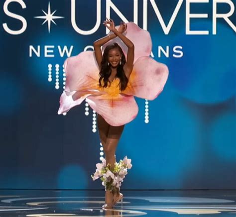20 of the best national costumes worn by the miss universe contestants demilked