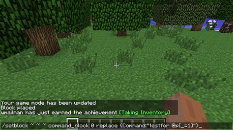 Therefore, we also explored this topic from a. minecraft java edition - How to set a command block with a ...