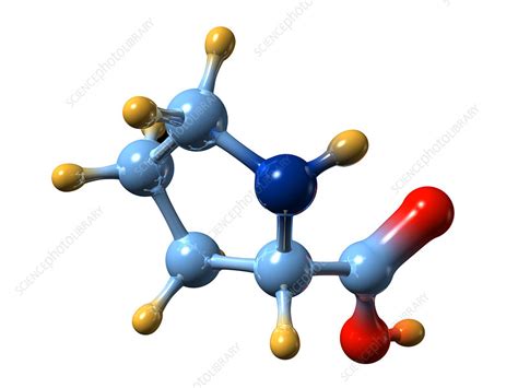 Proline Molecular Model Stock Image A6110065 Science Photo Library