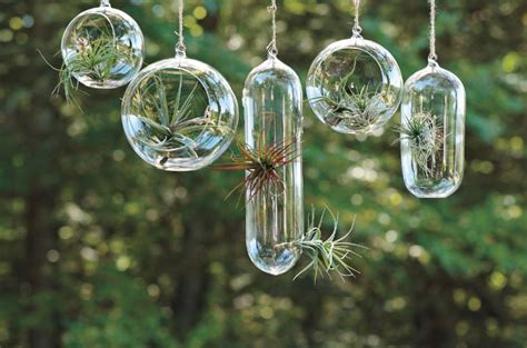 What It Means To Decorate With Terrariums Key Tips And Details