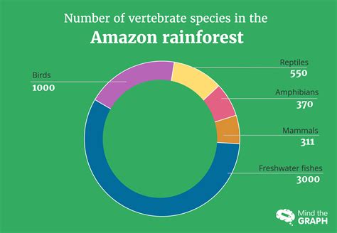 Why The Amazon Rainforest Is Important