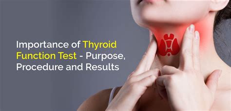 importance of thyroid function test purpose procedure and results nh assurance