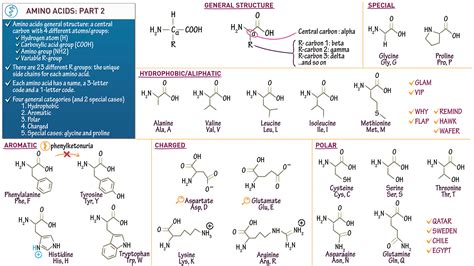 Biochemistry Amino Acid Structures Part Ii Draw It To Know It