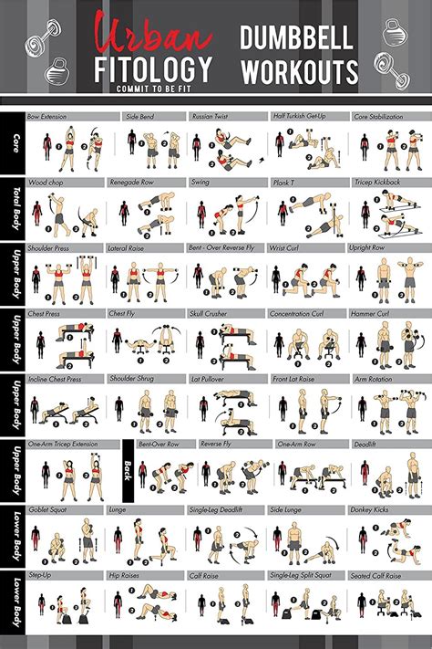 Urban Fitology Dumbbell Exercise Workout Poster For Men And Women Exercises Double