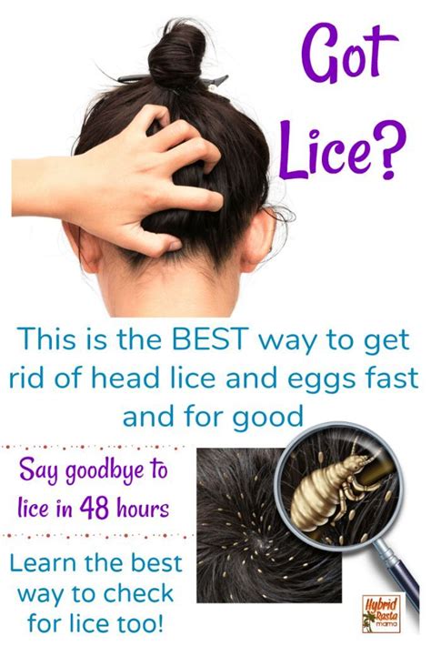 How To Check Your Hair For Lice Charlesmallegni