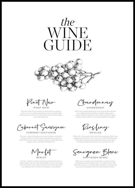 wine guide poster wine guide wine poster kitchen posters