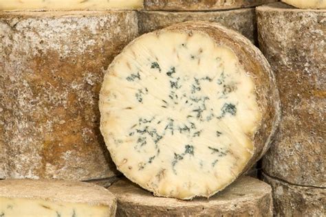 How To Make Stilton Cheese Blue Cheese Recipes Cheesemaking Stilton Blue Cheese
