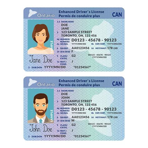 Canada Fake Drivers License For Sale