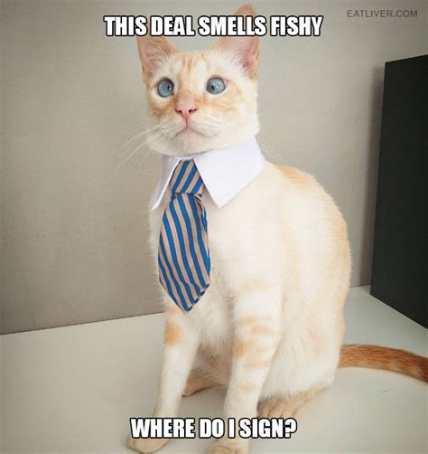 If You Had A Cat Boss