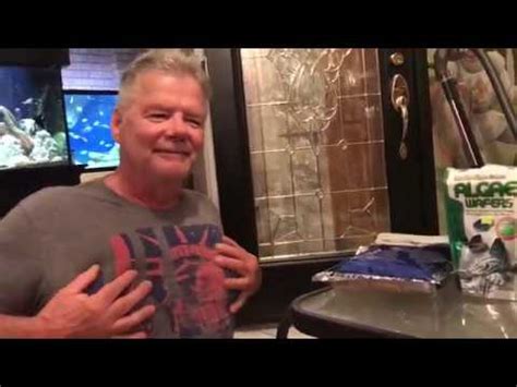 How much should i feed my freshwater fish? WHAT DO I FEED MY FISH? + WHERE I BUY IT?!?! - YouTube