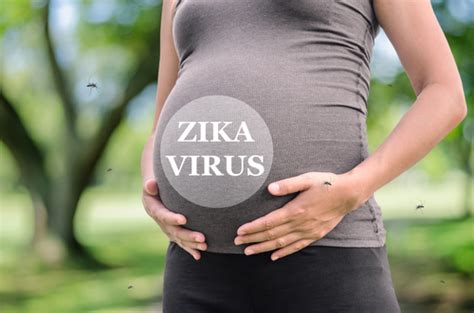 Zika Virus In Pregnancy Dr Nerida Flannery