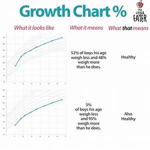 Growth Chart Infographic