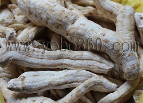 Maybe you would like to learn more about one of these? 简析中药材天花粉行情-品种分析-资讯频道-药博商城