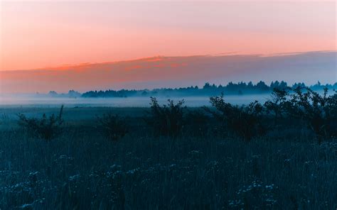 Download Wallpaper 3840x2400 Field Fog Dawn Grass Landscape Forest
