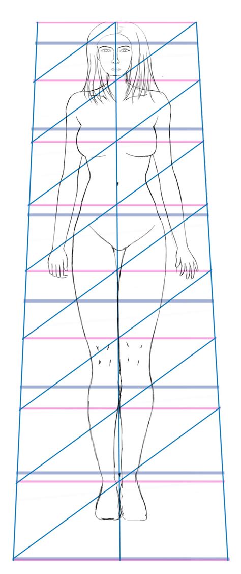 Human Body In Perspective Guidelines Sweet Drawing Blog