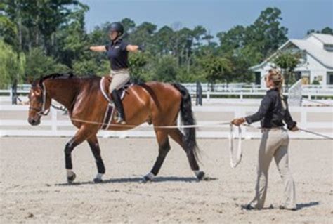 Going Round And Round Improve Your Riding With Longe Lessons