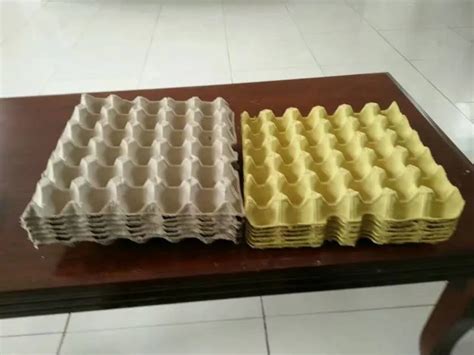 30 Cells Paper Pulp Egg Carton Egg Trays For Sale Buy Egg Trays For