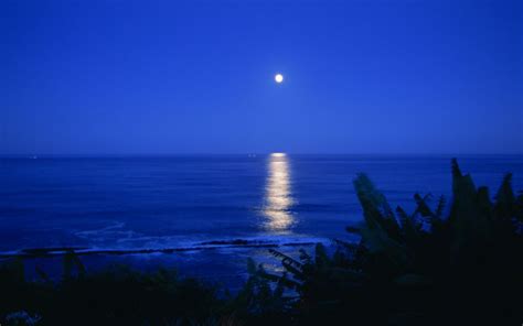 Night Sea Moon Ocean Reflection Wallpaper 1920x1200 135940
