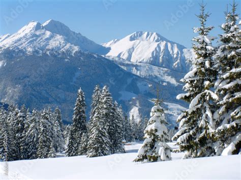 Alpine Snow Scene Stock Photo And Royalty Free Images On