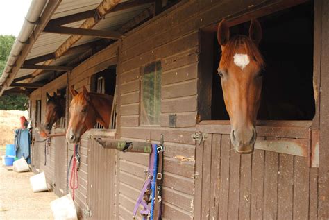 Horse Riding Stables Prepare To Reopen For Private One To One Lessons