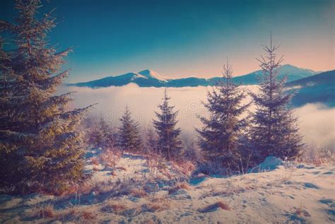 Carpathian Mountains Snow Capped Peaks Vintage Colors Stock Photos