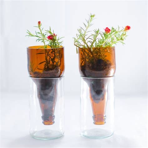 We did not find results for: WINE & BEER Bottle Hydroponic Garden Office Desk Planter ...