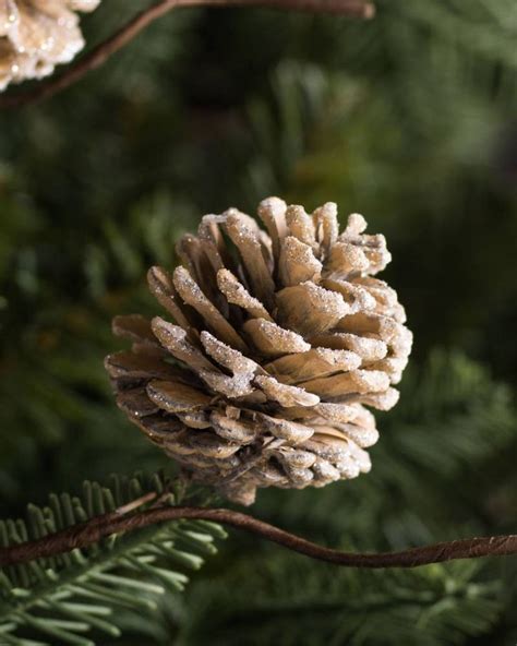 Frosted Pinecone Pick Ornament Set Balsam Hill Christmas Tree Themes