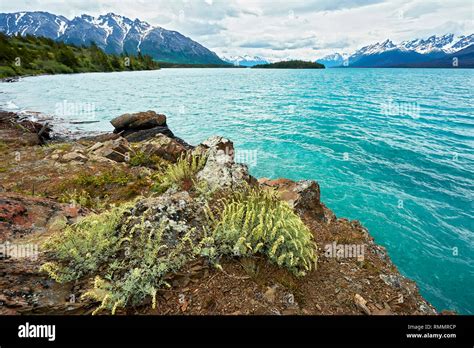 Scenic View Of Chilko Lake With Its Turquoise Water And Snow Covered