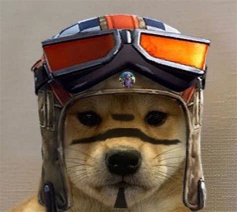 Dogwifhat Renegade Raider Dog