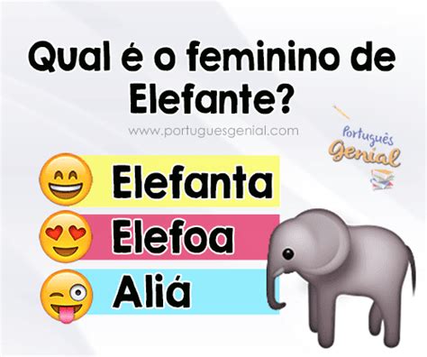 Qual é O Feminino De Elefante Português Genial