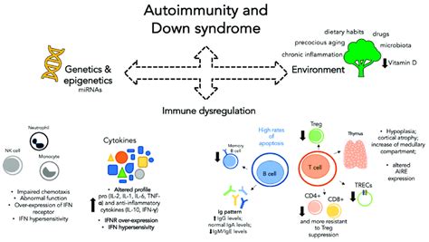 Schematic Representation Of Factors Contributing To Autoimmunity In