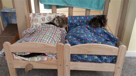 Transform This Ikea Doll Bed Into The Cutest Bed Ever For Your Cat