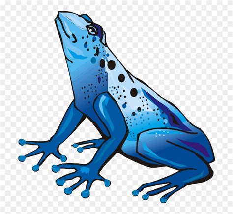 Frog Clipart Blue Pictures On Cliparts Pub 2020 🔝