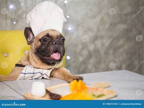 French Bulldog In Chef S Hat Cooking At Kitchen Stock Image Image Of