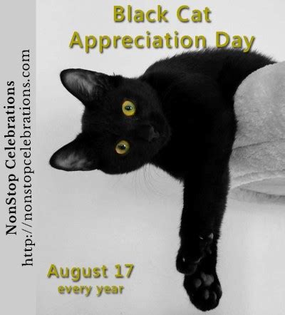 There are no ordinary cats.only extraordinary cats! In August Archives | Page 2 of 3 | NonStop Celebrations