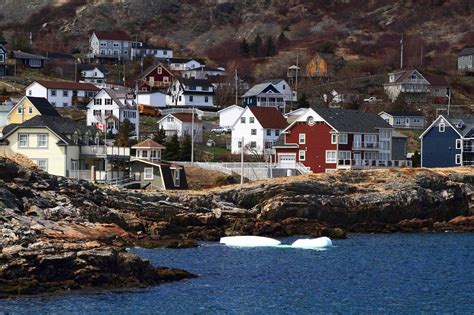 Newfoundland Wallpapers Top Free Newfoundland Backgrounds