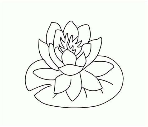 Hawaiian flower coloring pages are a fun way for kids of all ages to develop creativity, focus, motor skills and color recognition. Coloring Pages About Hawaii - Coloring Home