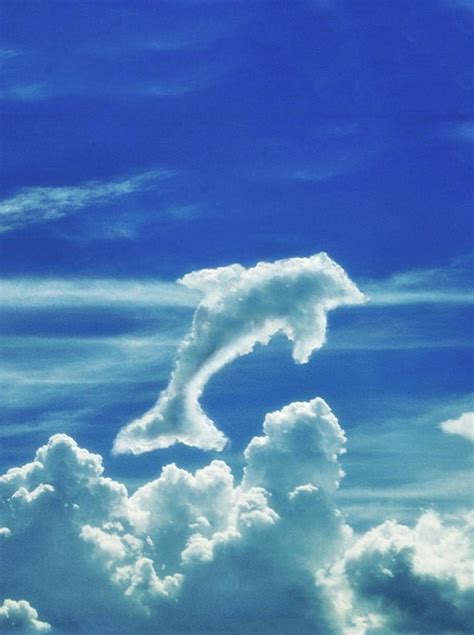 Academy Of Omniosophical Arts And Sciences In 2023 Clouds Angel Clouds