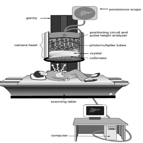 Components Of A Standard Nuclear Medicine Imaging System Download