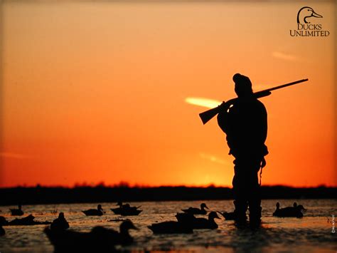 Duck Hunting Wallpaper Wallpapersafari